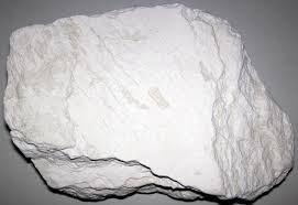 Diatomaceous Earth (Diatomite)